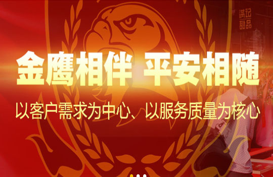 中金鷹(海南)安保集團有限公司